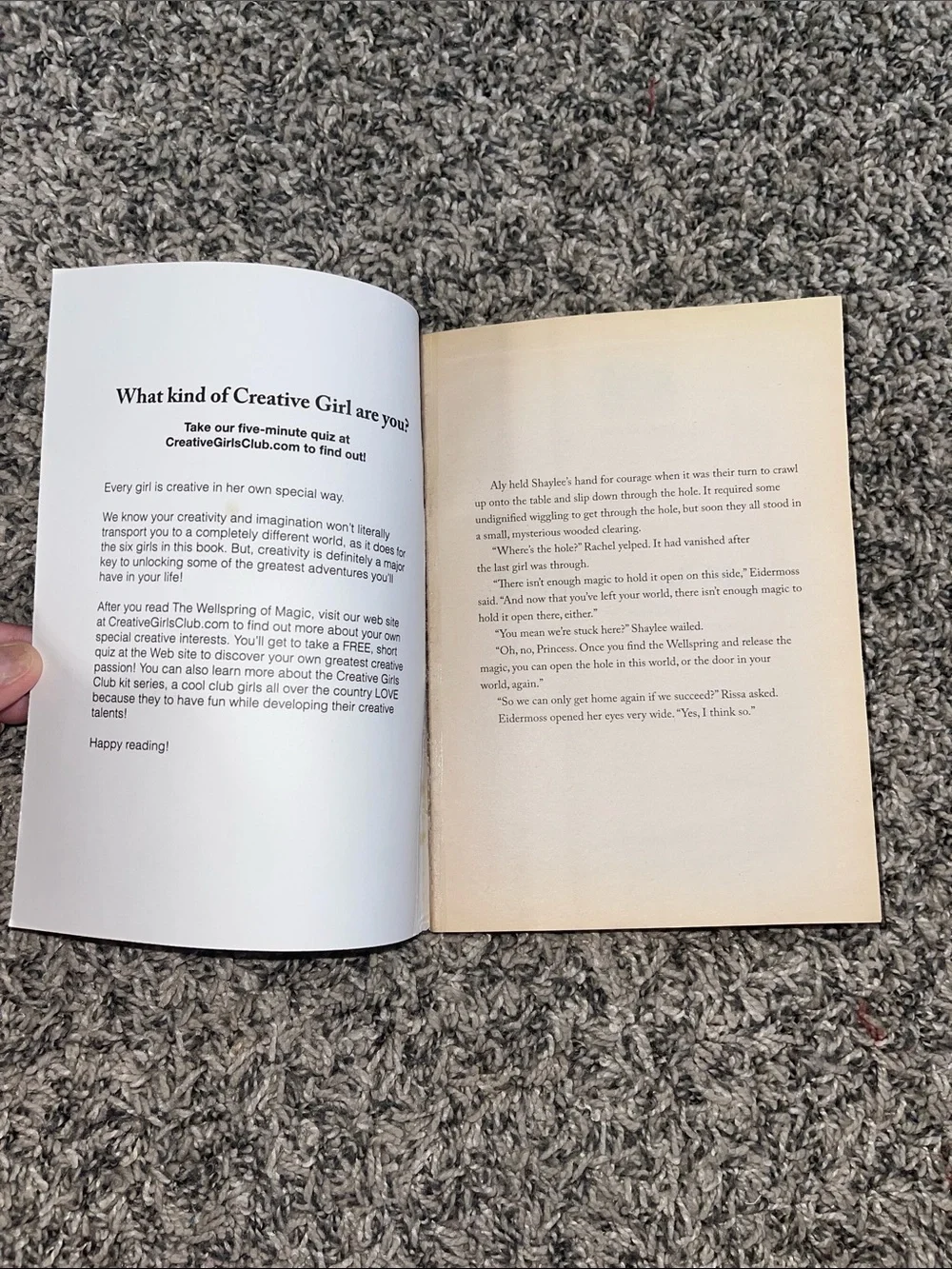 Book: Wellspring of Magic by Jan Fields creative girls club adventure book